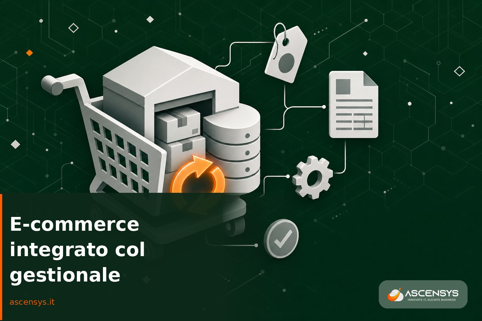 Illustrazione di un e-commerce integrato col gestionale per PMI italiane: carrello online e magazzino collegati in un unico sistema Odoo gestito da AscenSys